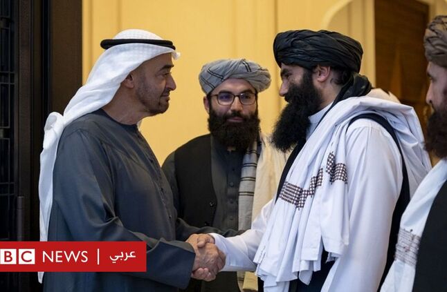 طالبان في ضيافة الإمارات: ماذا يريد محمد بن زايد من سراج الدين حقاني؟ - BBC News عربي