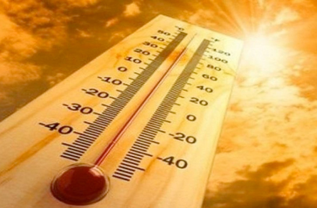 الحساسية والمناعة تحذر من مخاطر الجفاف في الصيف.. وتقدم روشتة للوقاية من الحرارة