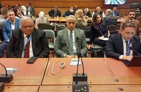 وزير العمل يشارك باجتماع المجموعة العربية المشاركة فى مؤتمر العمل بجنيف - اليوم السابع