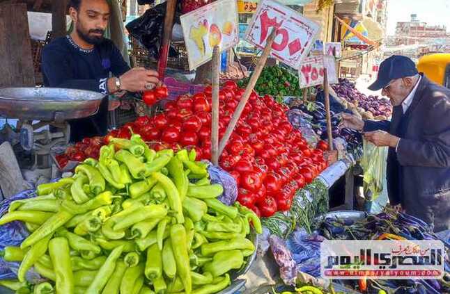 سعر البصل والطماطم والخضروات بالأسواق الجمعة 21 يونيو 2024  | المصري اليوم