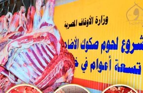 وزارة الأوقاف: غدا توزيع 10 أطنان لحوم أضاحى بـ6 محافظات - اليوم السابع