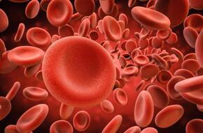 سيولة الدم .. علامات على الجسم تحدث عند زيادتها | المرأة والصحة | الصباح العربي