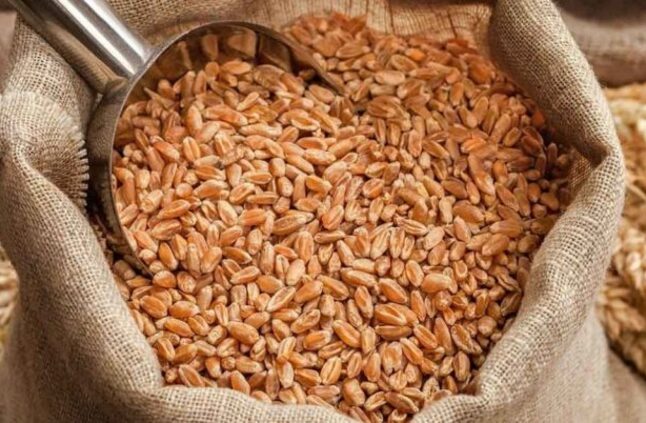التموين: احتياطي القمح يكفي 6 أشهر والسكر التمويني 20 شهرًا