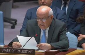 مندوب فلسطين بمجلس الأمن: أعداد وفيات الفلسطينيين بسجون الاحتلال 4 أضعاف &quot;جوانتانامو&quot;