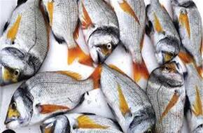 أسعار الأسماك اليوم السبت 29 يونيو بسوق العبور