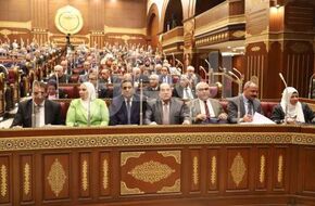 عضو بـ«الشيوخ»: كلمة الرئيس السيسي بمؤتمر الاستثمار رسالة طمأنة للمصريين
