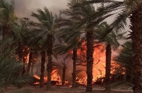 حريق هائل يخلف خسائر كبيرة بمؤسسة "اتصالات الجزائر" جنوب شرق البلاد
