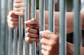 حبس 3 عاطلين لسرقتهم الهواتف المحمولة من المواطنين عن طريق المغافلة بالوايلي