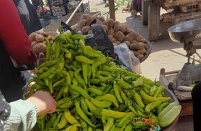 ارتفاع أسعار الخضراوات اليوم الإثنين في الفيوم.. البطاطس بـ 20 جنيهًا  | أهل مصر