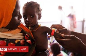  الحرب في السودان: الأمم المتحدة تحذر من أن الملايين باتوا على حافة المجاعة في البلاد - BBC News عربي