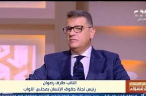 النائب طارق رضوان: الدولة المصرية حققت إنجازات كبيرة بملف حقوق الإنسان - اليوم السابع