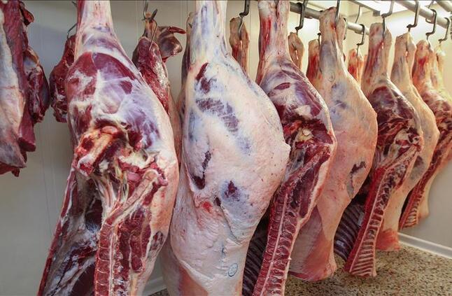 "التموين": ضخ 150 طن يومي من اللحوم الطازجة بالمجمعات والمنافذ 