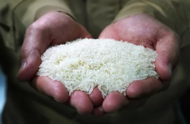 تراجع أسعار الأرز بقيمة 2000 جنيه للطن خلال شهر