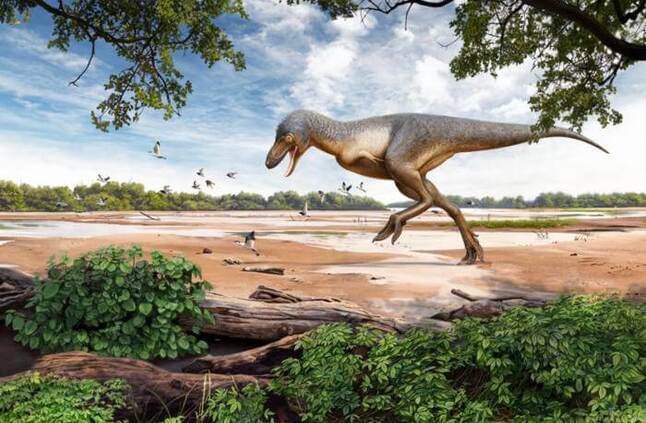 اكتشاف حفرية لديناصور تي ريكس «في مراهقته» - المصري لايت