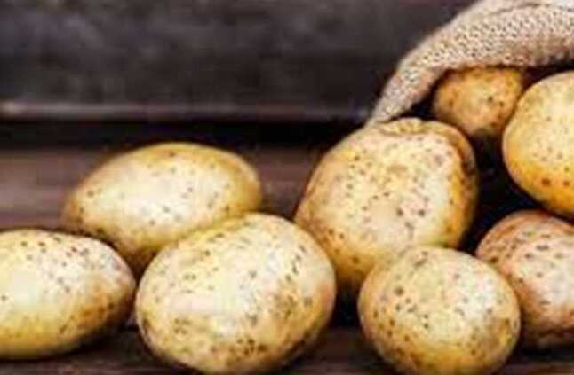 نقيب الفلاحين: ارتفاع أسعار البطاطس لـ 25 جنيهًا للكيلو كان متوقعًا ومنع التصدير ليس حلًا | المصري اليوم