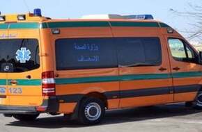 مصرع 3 أشخاص وإصابة 3 آخرين صدمتهم سيارة فى أوسيم - اليوم السابع