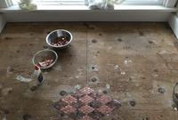 امرأة تستخدم 13 ألف عملة معدنية لتجديد أرضية منزلها 