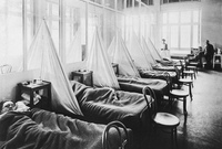 يرجع سبب تسمية هذا الوباء بـ "الإنفلونزا الإسبانية" بسبب اهتمام وسائل الإعلام الإسبانية بهذا الوباء أثناء الحرب العالمية الأولى دونًا عن وسائل الإعلام الخاصة بباقي الدول 
