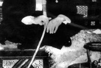 يظهر فاروق في الصورة وهو يُدخن «الشيشة» في مشهد غير معتاد في الصور الرسمية 
