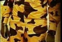النقيب مقاتل/ أحمد عمر الشبراوي، دفعة 101 حربية، وأحد أبطال الكتيبة 103 صاعقة، من محافظة الشرقية، وأحد أبطال الكتيبة 103 وملحمة البرث