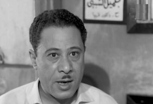 إبراهيم سعفان، من مواليد 4 سبتمبر 1924، في مدينة شبين الكوم بمحافظة المنوفية
