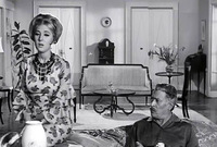 في عام 1960 شاركت  نادية الجندي في فيلم "زوجة من الشارع" مع كمال الشناوي وعماد حمدي ومن إخراج حسن الإمام
