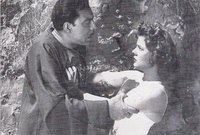 رشَّحها المخرج «رمسيس نجيب» للوقوف أمام فريد شوقي في فيلم «سلطان» إنتاج 1958