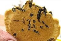 بسكويت الدبور المقرمش
نوع من أنواع البسكويت المقرمش المحشو بالدبابير يمكنك شراءه في مدينة أوماتشي بطوكيو