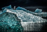 أفضل 20 صورة للطبيعة من مسابقة ناشيونال جيوغرافيك لعام 2016